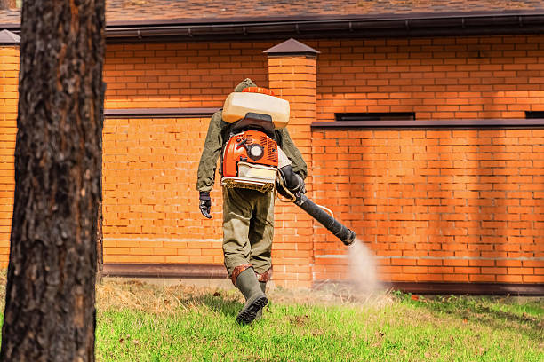 Bed Bug Clearance Verification and Documentation in Berwyn